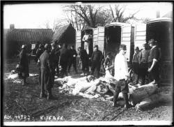 Gallica abattage de porcs 1915